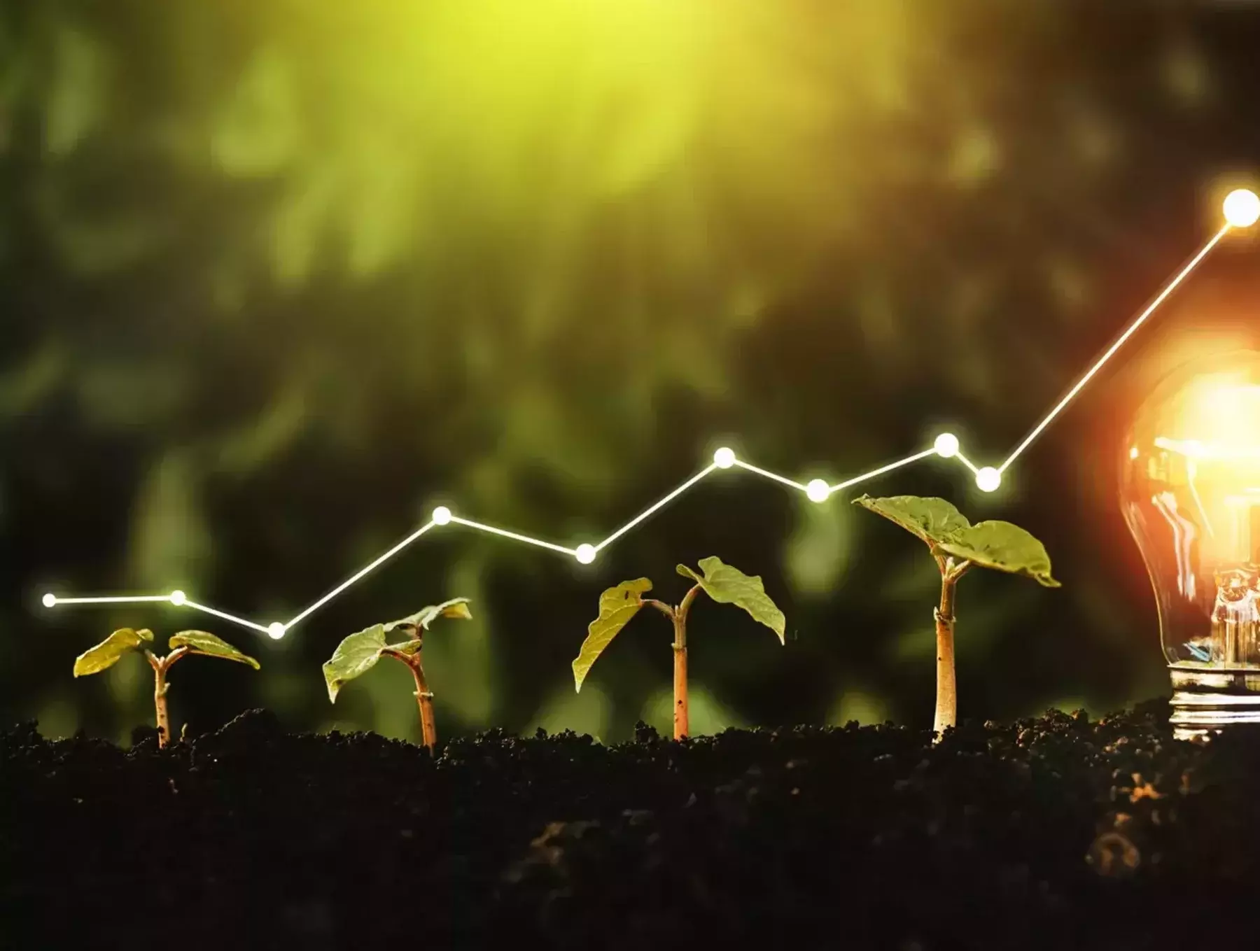 The Impact of Sustainable Practices on Business Sustainability